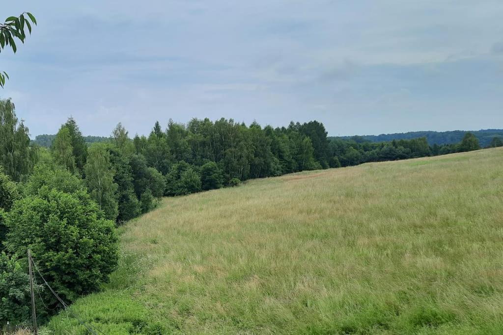 Ojcowski Zakatek-Uroczy Domek Do Wynajecia Apartment Wola Kalinowska Luaran gambar